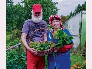Без огурца огород сирота