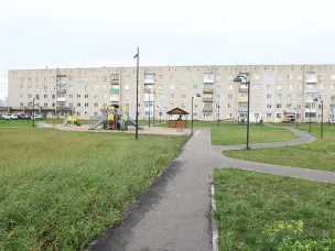 Наш добрый двор