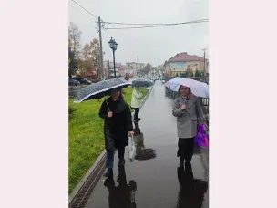 Дождь по асфальту рекою струится....