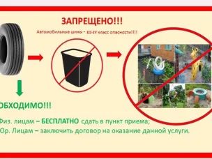 Клумба под запретом